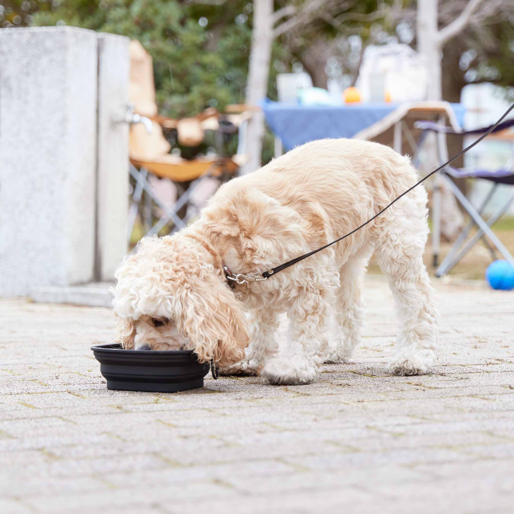 Foldable Pet Food Bowl L - Image 8