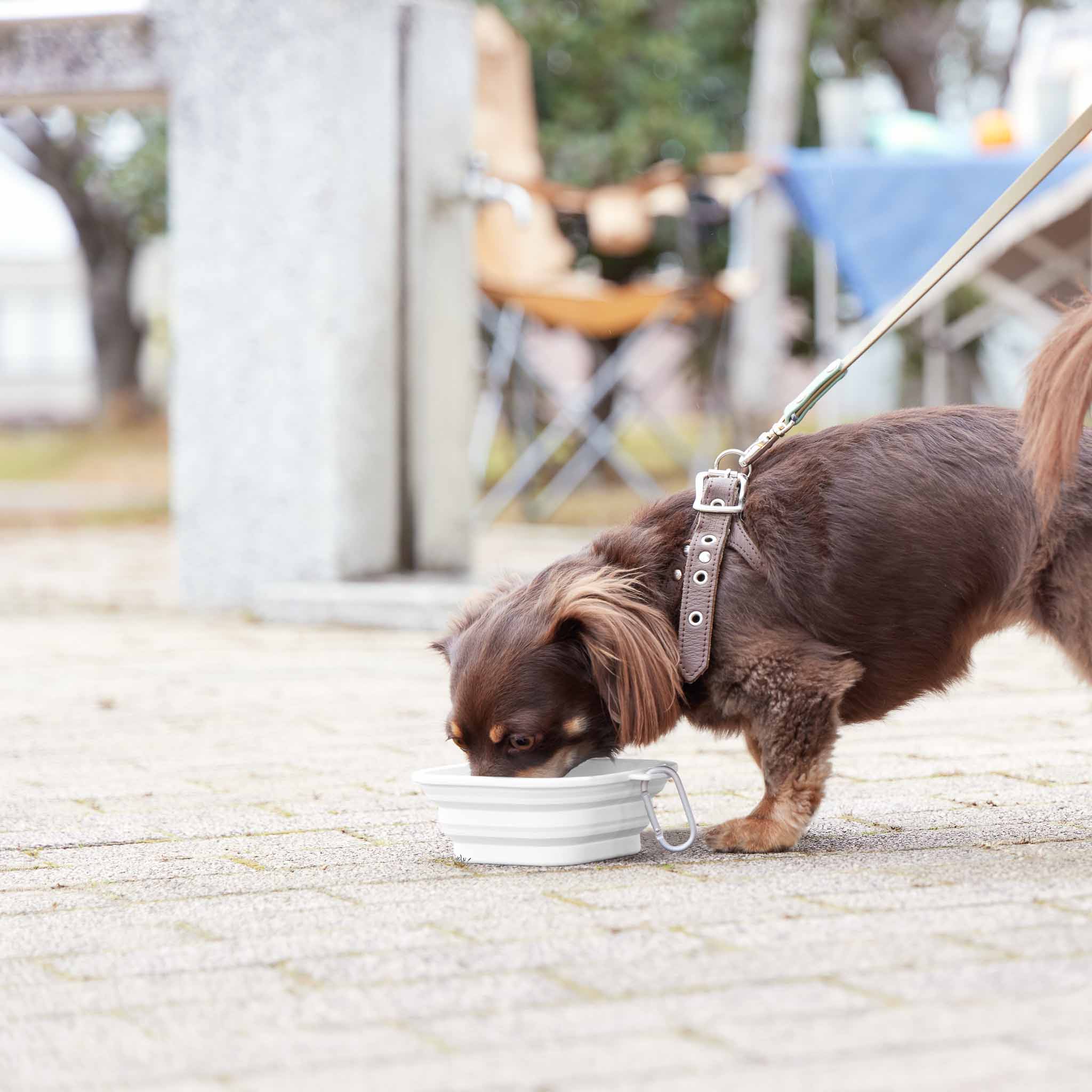 Foldable Pet Food Bowl S - Image 2