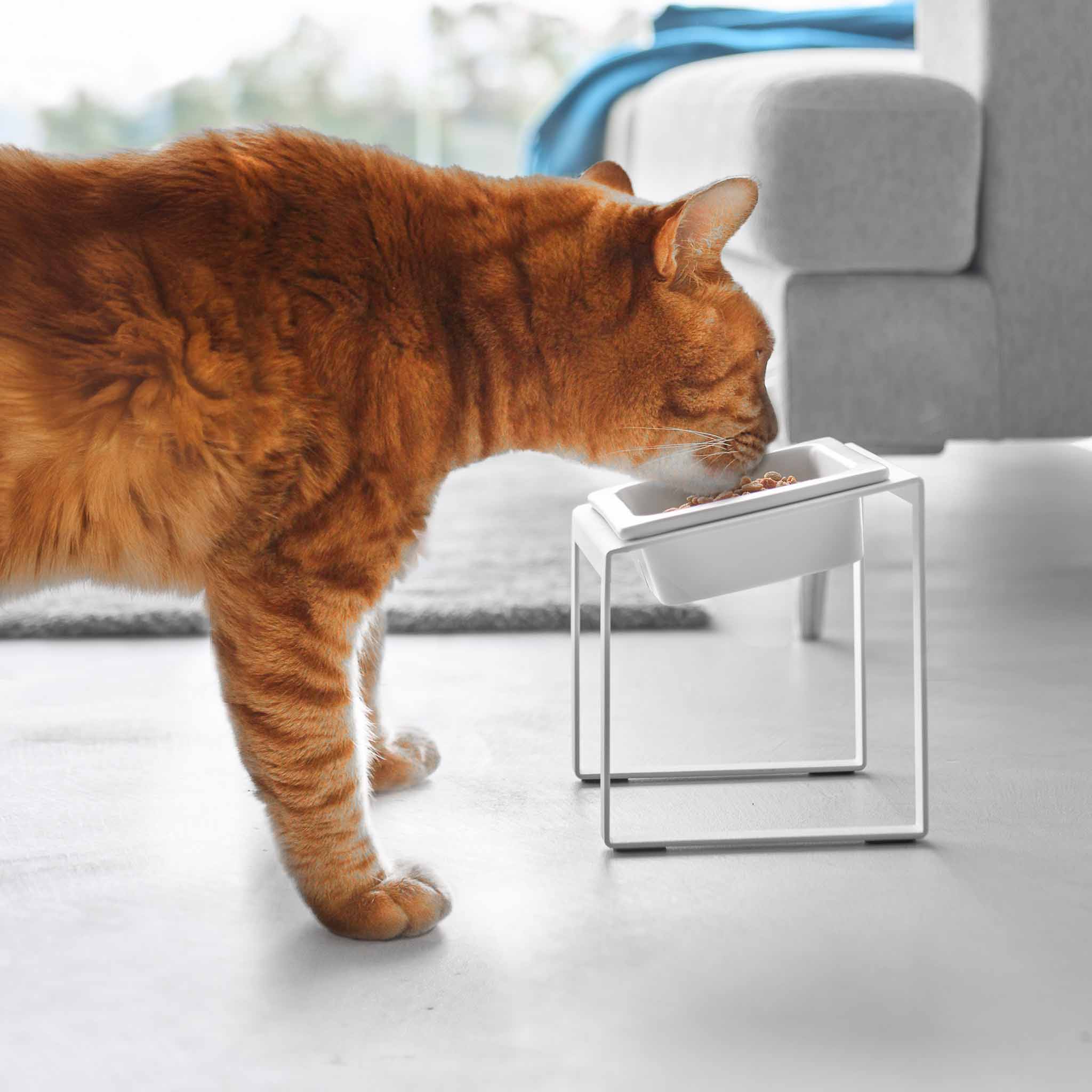 Angled Slow Feeder Pet Food Bowl Stand - Image 3