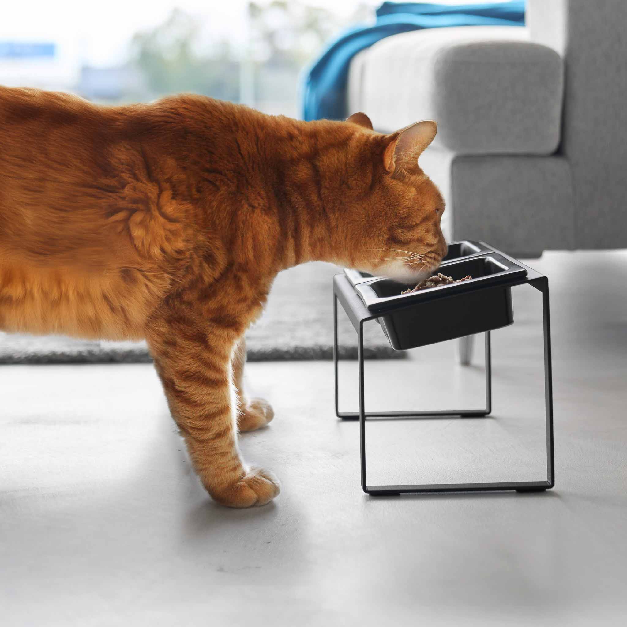 Angled Pet Food Bowls with Slow Feeder & Stand - Image 10