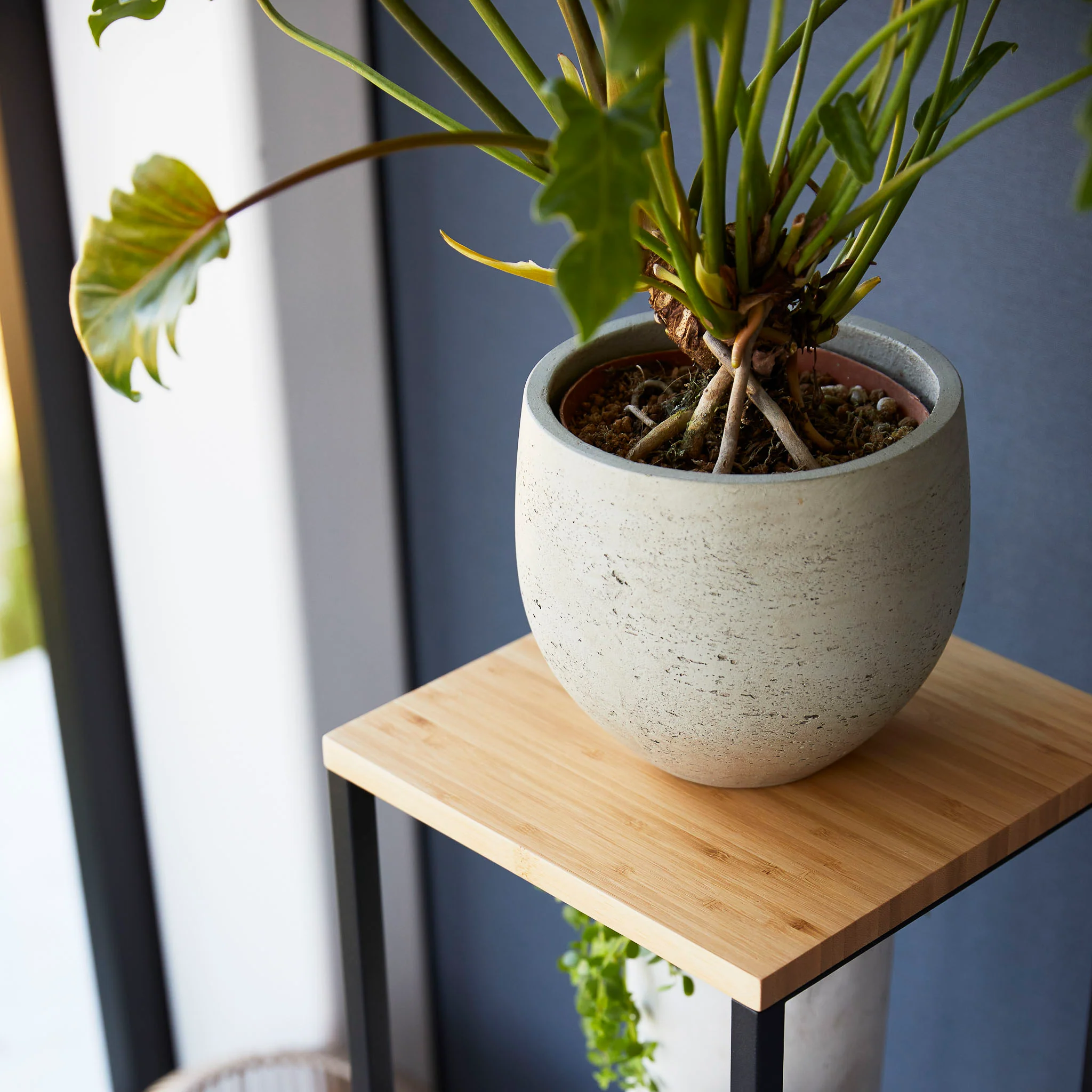 2-Tiered Wood-Top Shelf - Image 19
