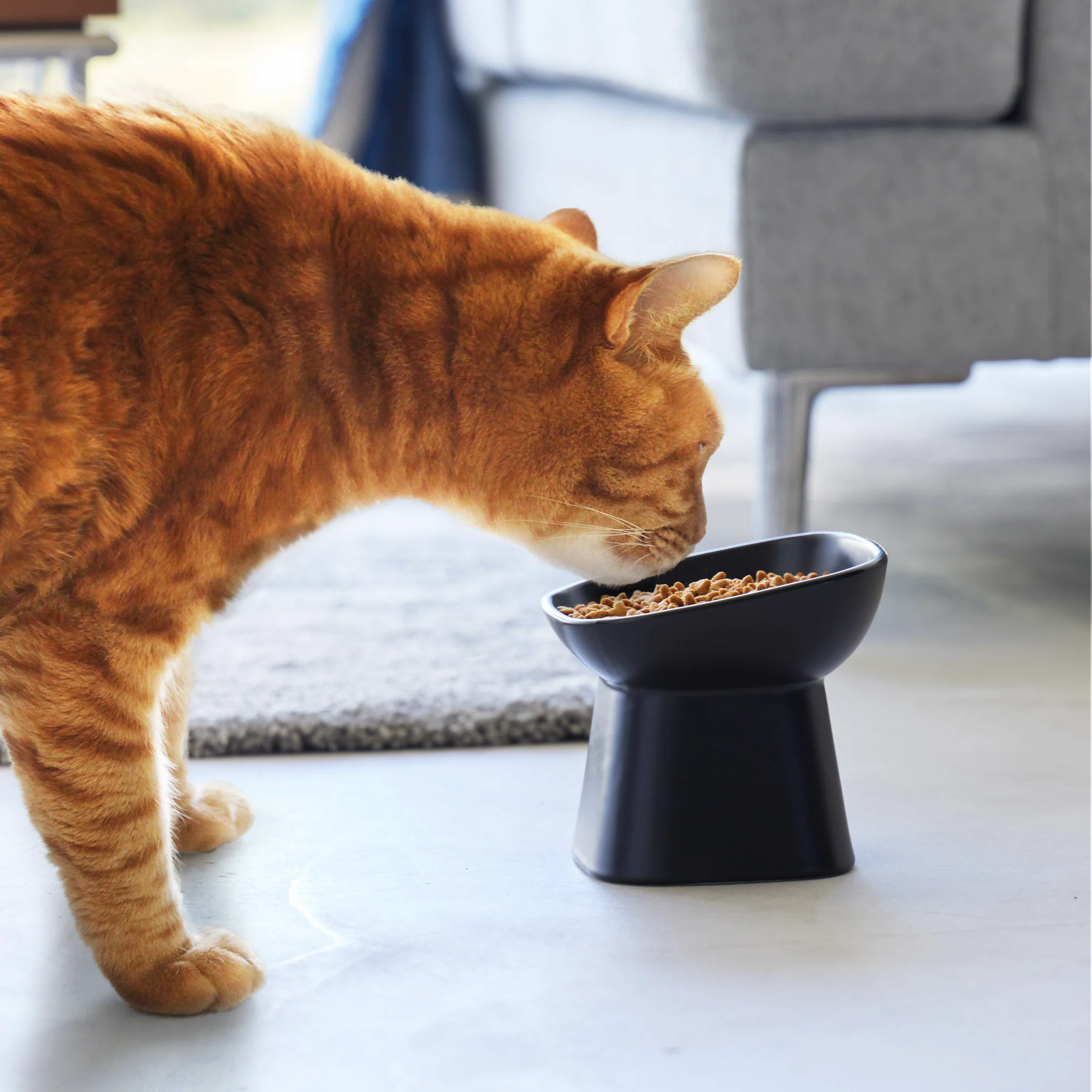 Angled Ceramic Pet Food Bowl - Image 10
