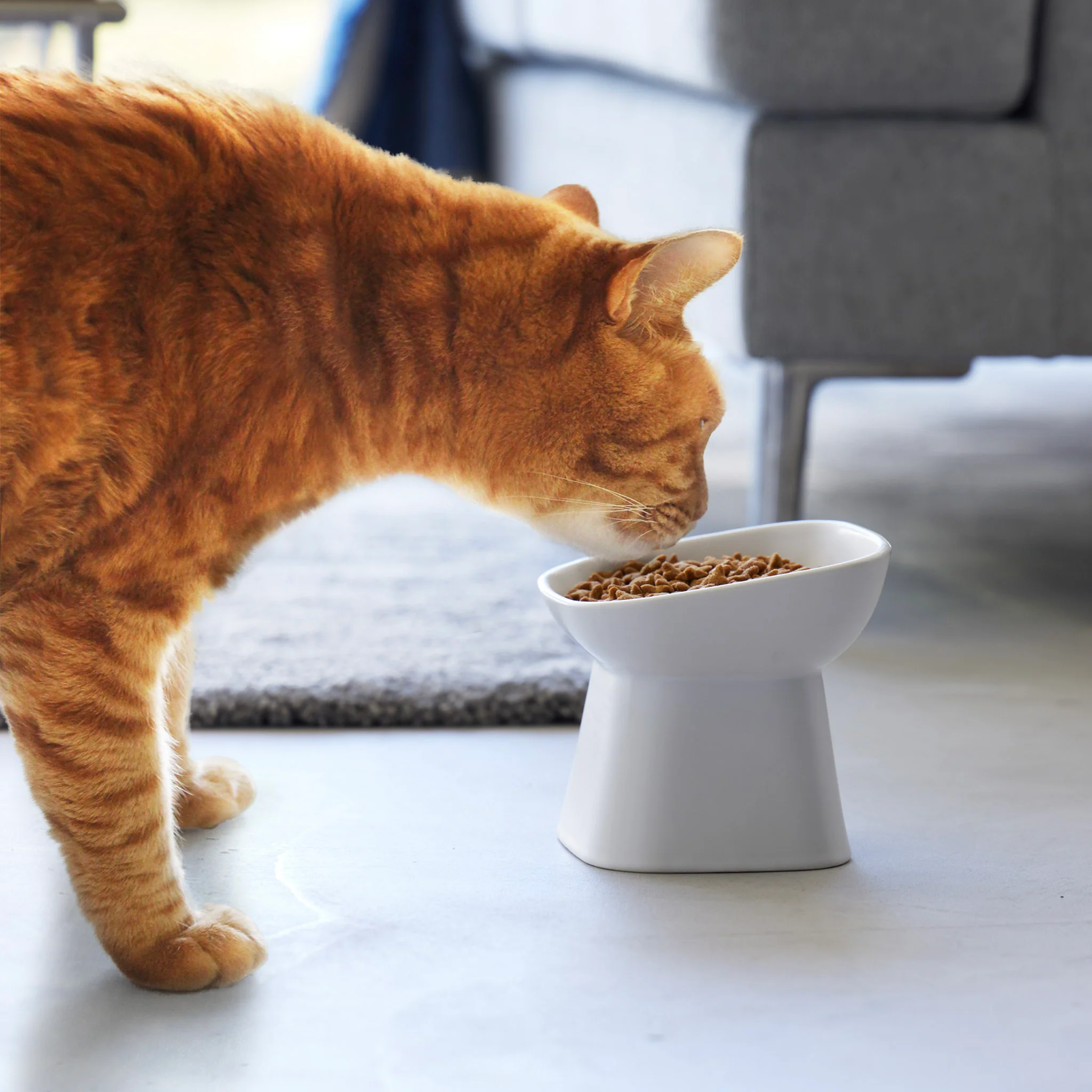 Angled Ceramic Pet Food Bowl - Image 2