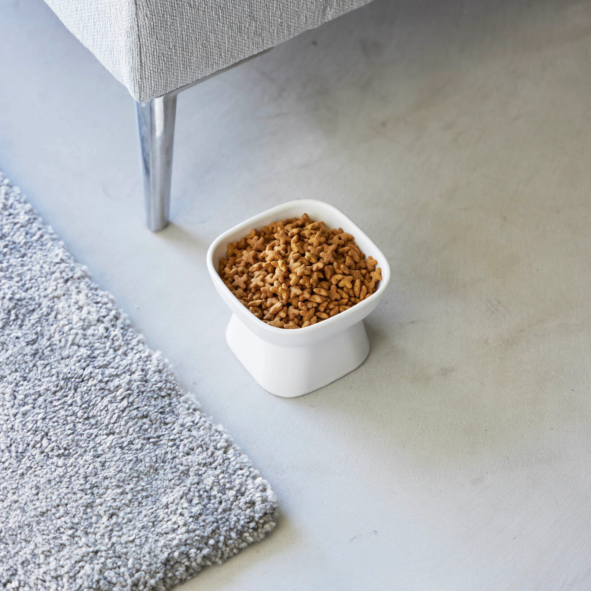 Ceramic Pet Food Bowl - Image 5