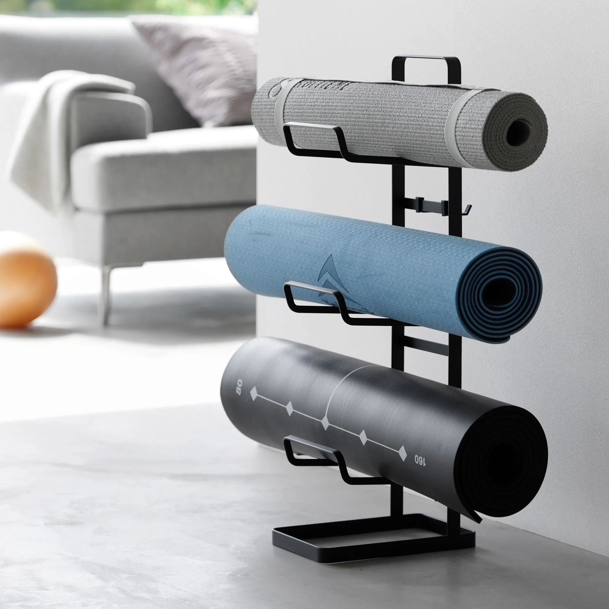 Fitness Equipment Rack - Image 14