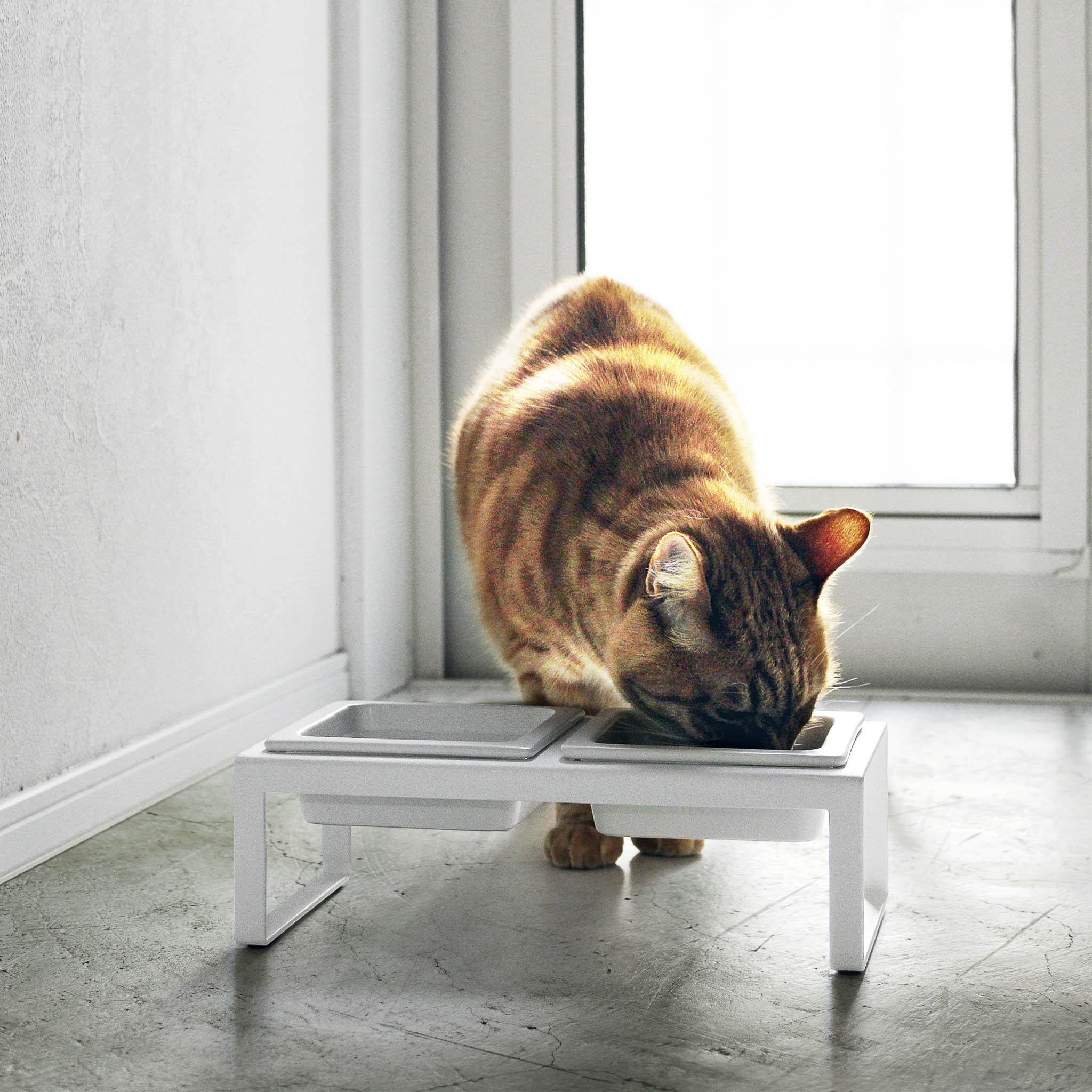 Pet Food Bowls with Stand - Image 3
