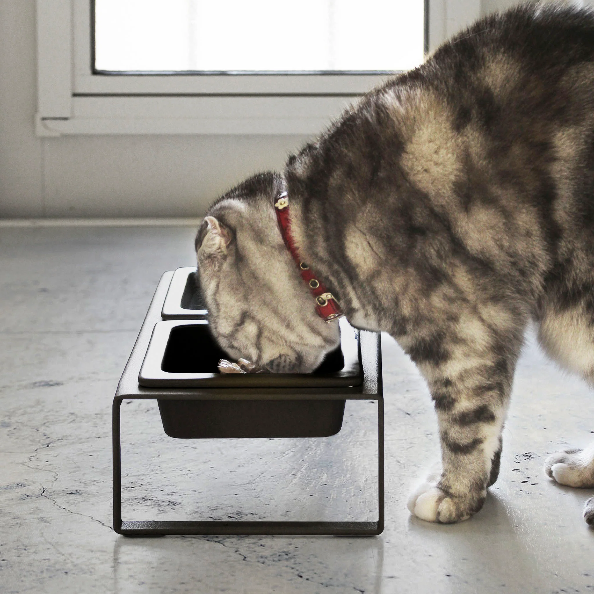 Pet Food Bowls with Stand - Image 7