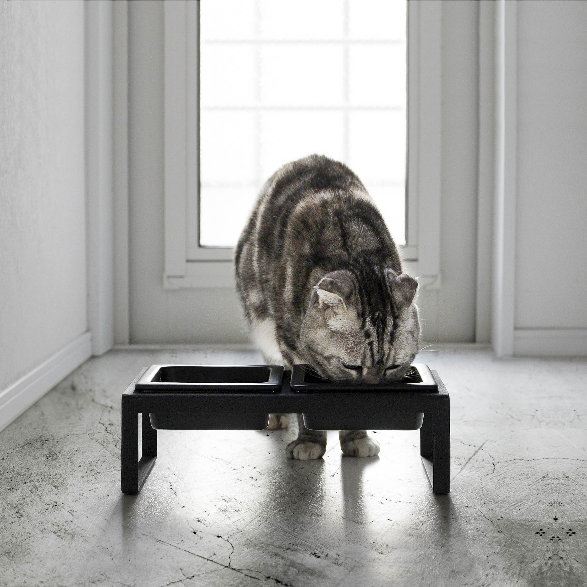 Pet Food Bowls with Stand - Image 8